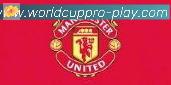 2026世界杯玩法官方网站合作伙伴